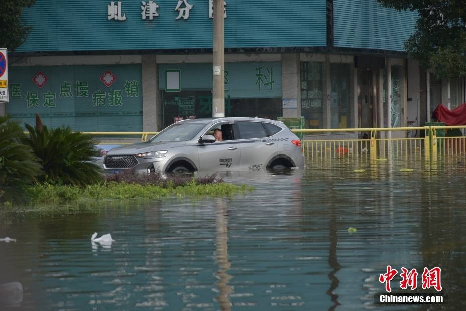 永修洪水最新动态，众志成城抗击洪涝，保卫家园