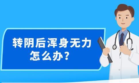 新澳精准资料大全,结构化计划评估_C版83.242