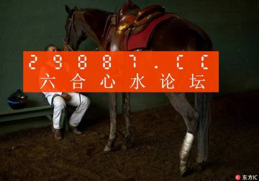 大三巴一肖一码中,重要性解释落实方法_标准版90.65.32