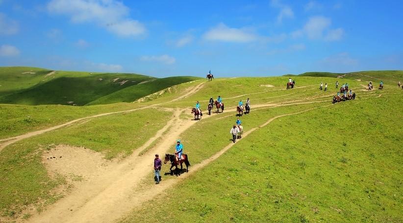 甘谷最新地图，探索与发现的精彩旅程