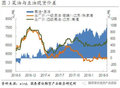 菜油现货市场最新动态解析