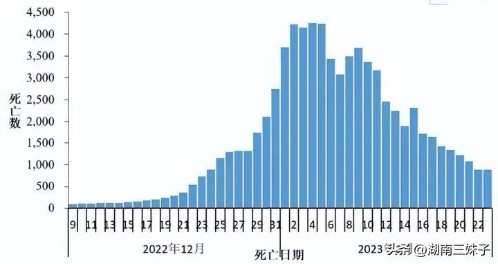 2024年12月10日 第7页