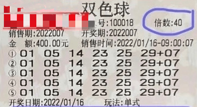 2024年12月11日 第55页