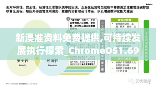 正版资料免费大全最新版本,可持续发展执行探索_V43.165