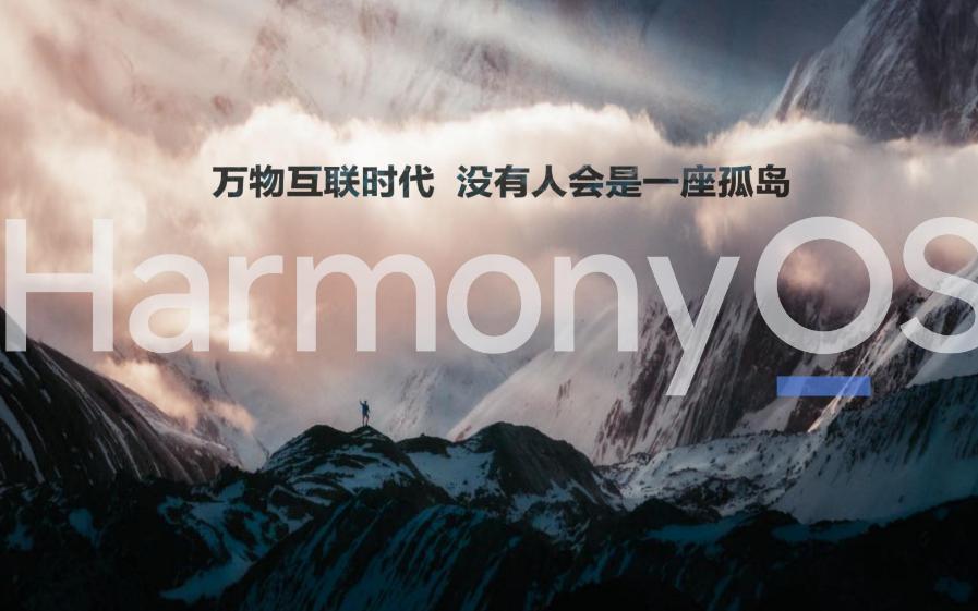 2024澳门正版资料大全,动态调整策略执行_HarmonyOS96.930