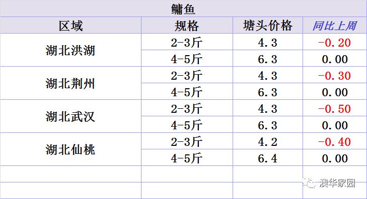 新澳2024天天正版资料大全,全面分析数据执行_WP版55.261