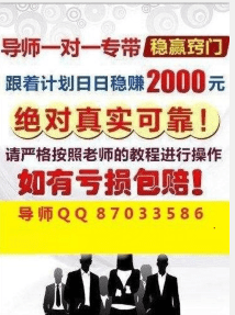 新澳门2024天天彩管家婆资料,专业调查解析说明_S44.168