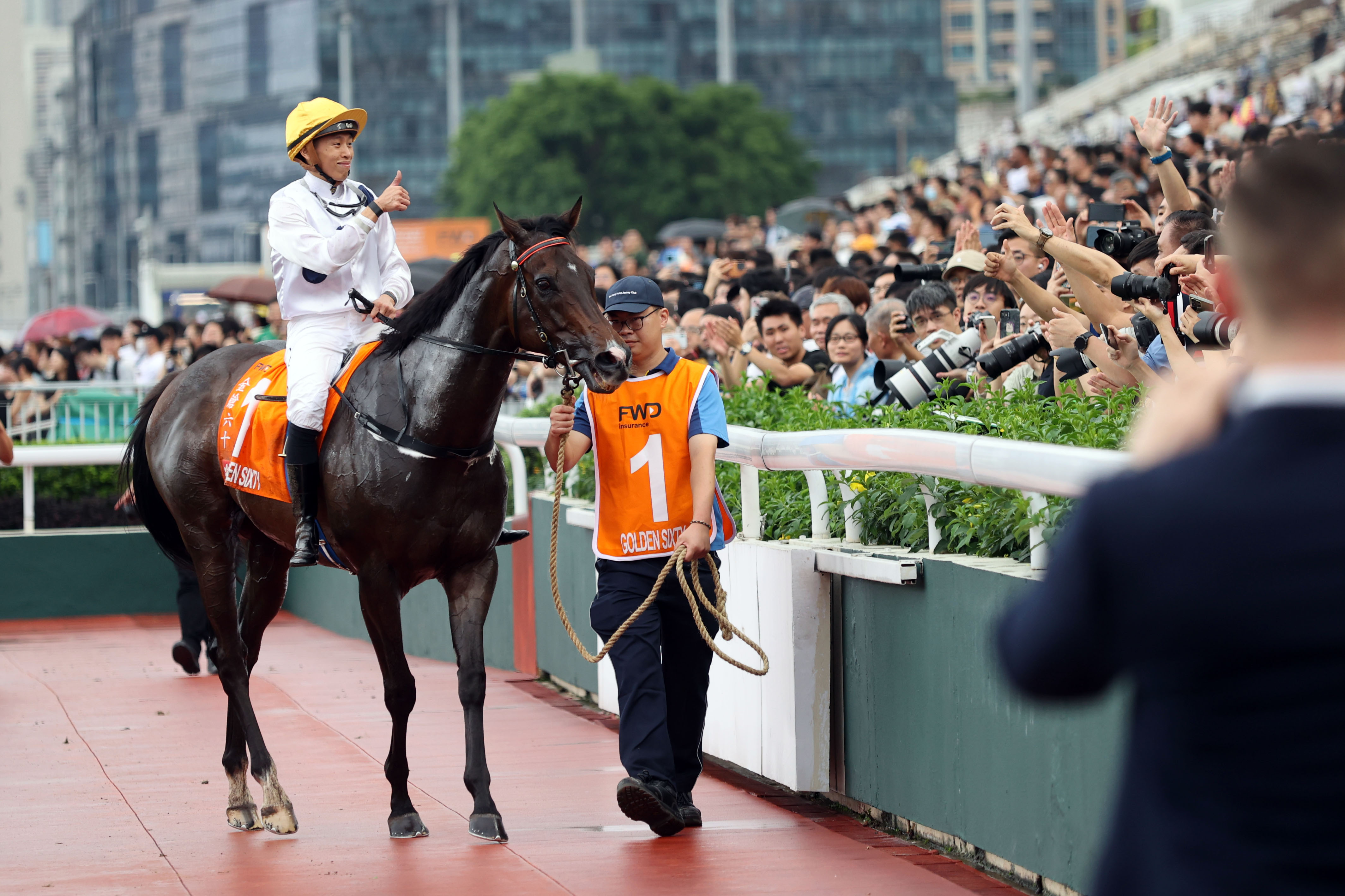 2024香港赛马全年免费资料,统计解答解释定义_扩展版10.240