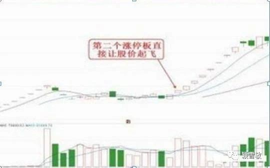 澳门跑狗,高速响应方案解析_纪念版52.487