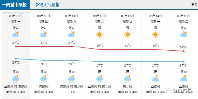 2024今晚香港开特马,精细解答解释定义_顶级版16.661