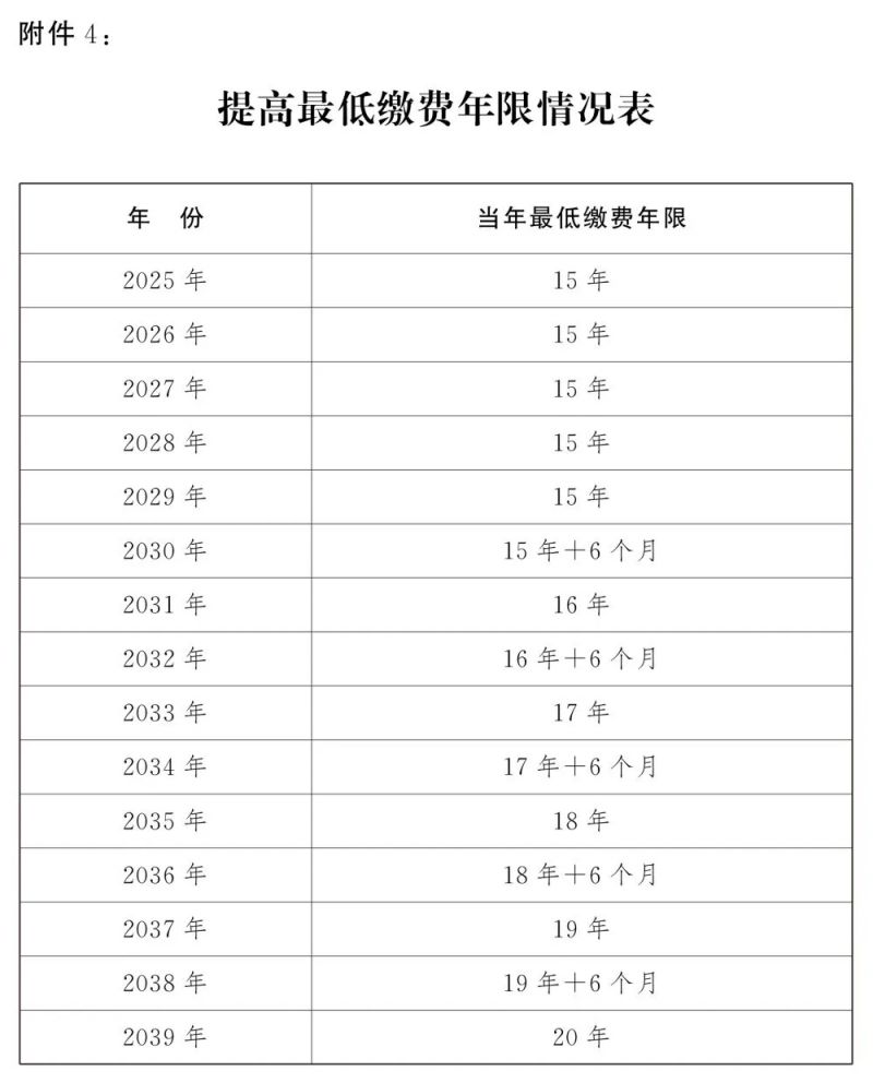 2024年12月18日 第24页