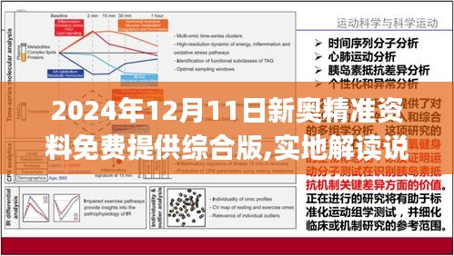 2024新奥精准资料免费大全078期,广泛的解释落实支持计划_L版30.767