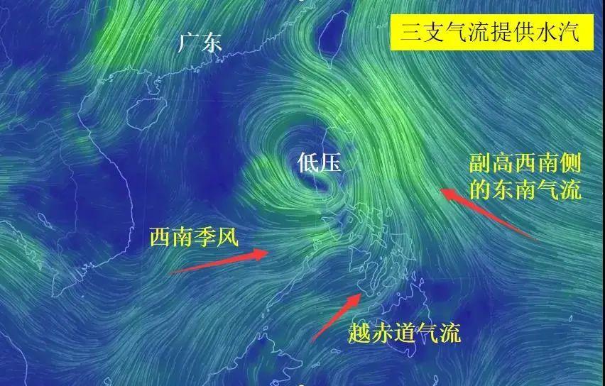 台风鹦鹉最新动态分析，路径、影响及预测报告