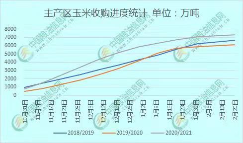 玉米价格最新预测，市场趋势、影响因素与未来展望分析