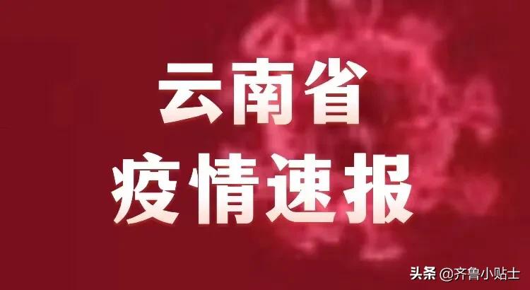 云南省疫情最新通报，最新动态与防控措施更新