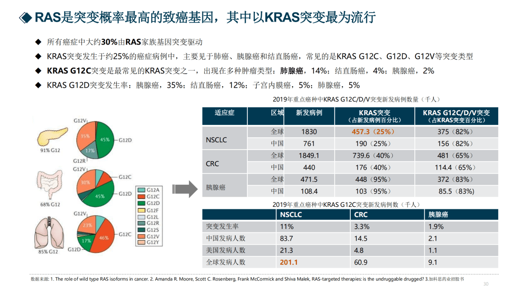 精准一肖100%免费,实地评估数据策略_KP28.25.85