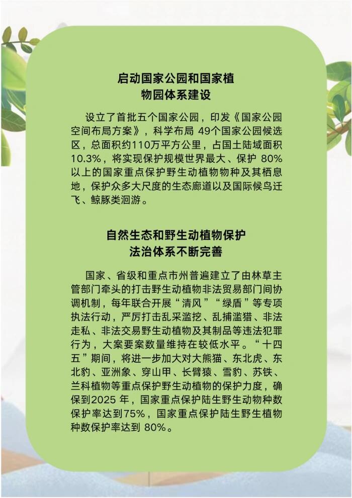 濒危物种面临希望与挑战并存的现状，最新消息揭示未来走向