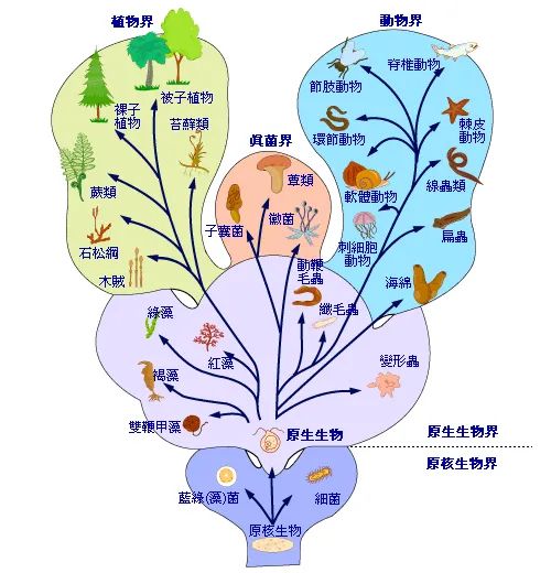 生物学界最新研究进展概览