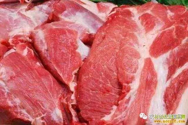 陕西牛羊肉价格动态分析报告