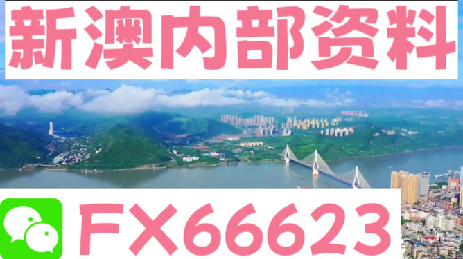 新澳精准资料免费提供,经典分析说明_领航款73.988