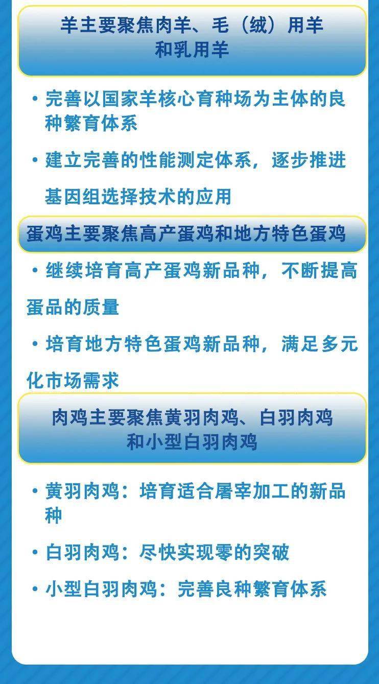 新澳精准免费提供,广泛的解释落实支持计划_豪华版8.713