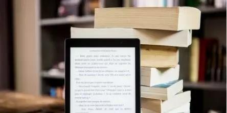 澳门一码一肖一待一中四不像,灵活性方案实施评估_Kindle10.386