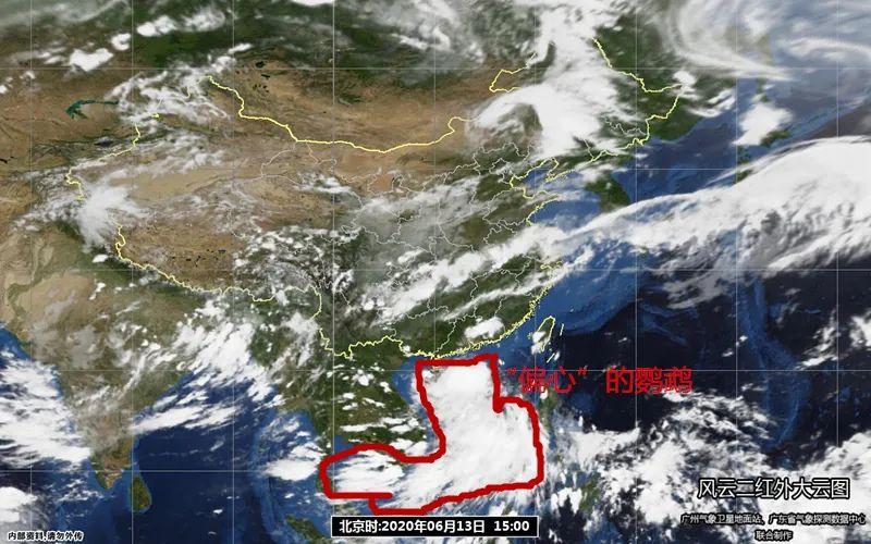 台风鹦鹉最新路径及影响分析