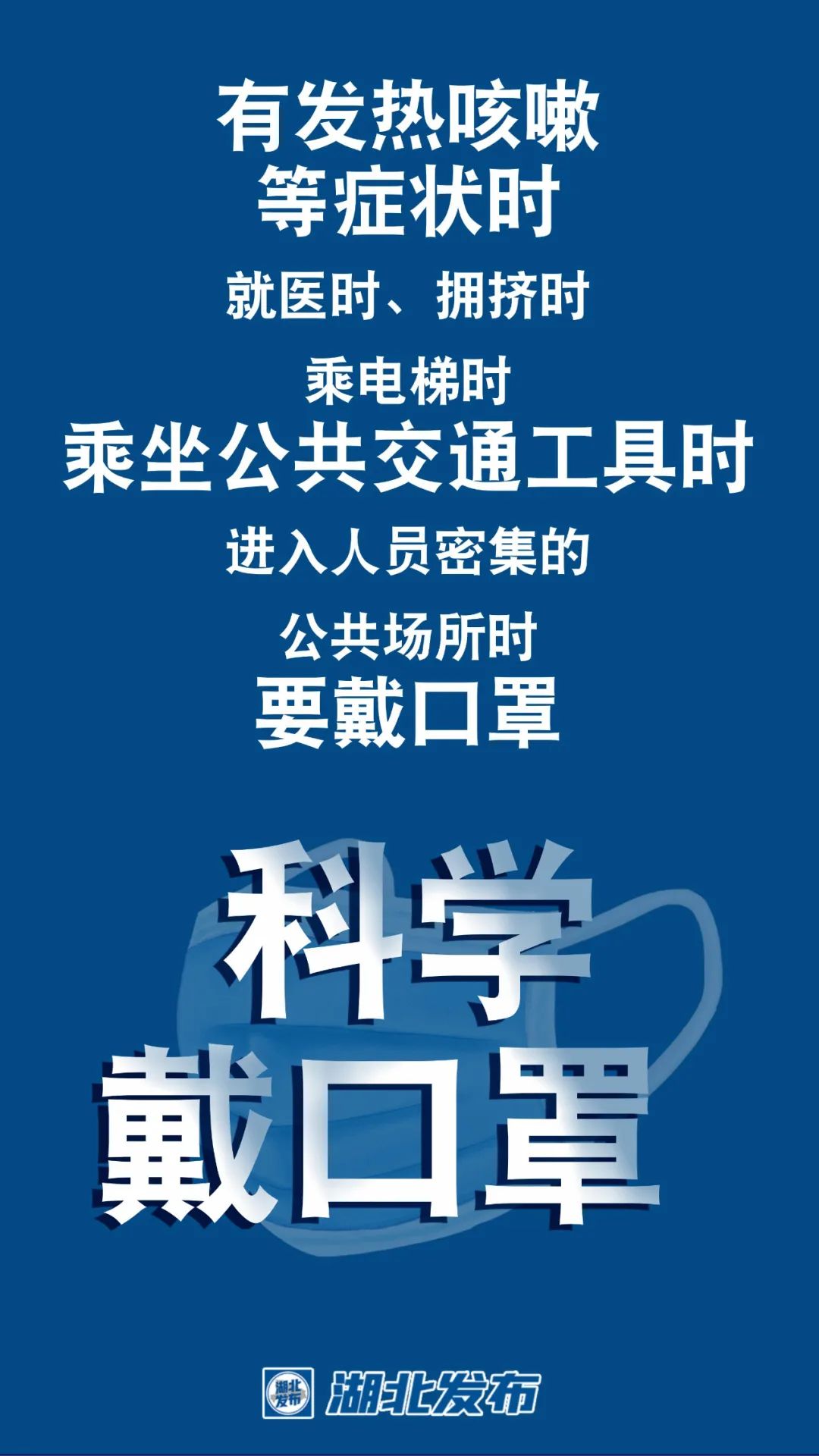 新冠疫情最新动态，全球态势与应对策略