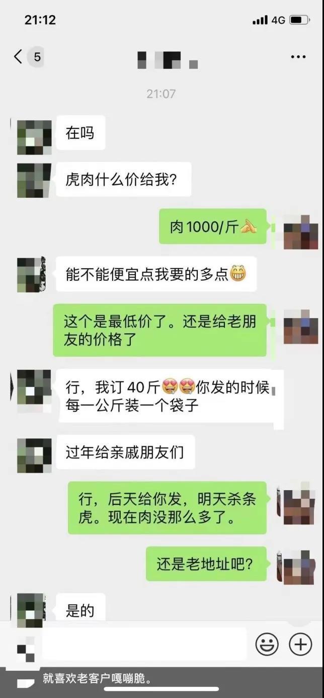 张晓磊最新视频，多元魅力与深度内容的展现