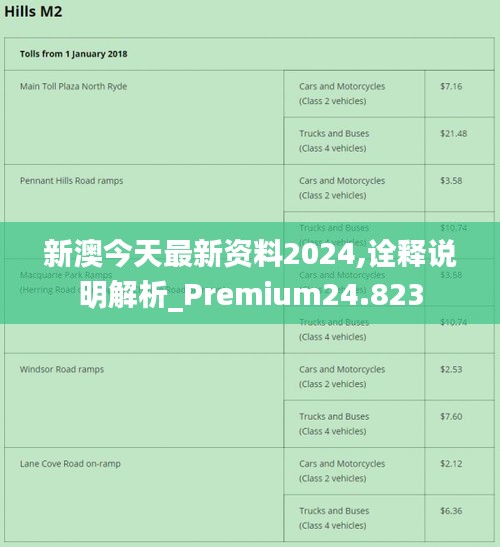 新澳2024资料免费大全版,时代资料解释落实_watchOS68.998