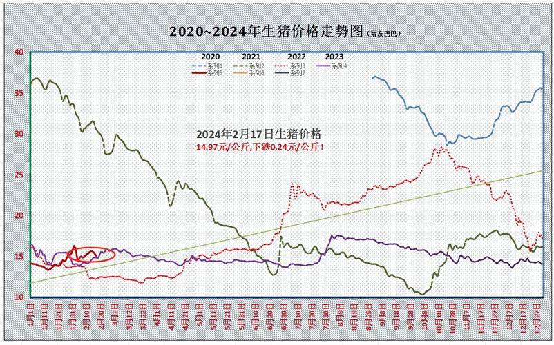 2024年12月30日 第6页