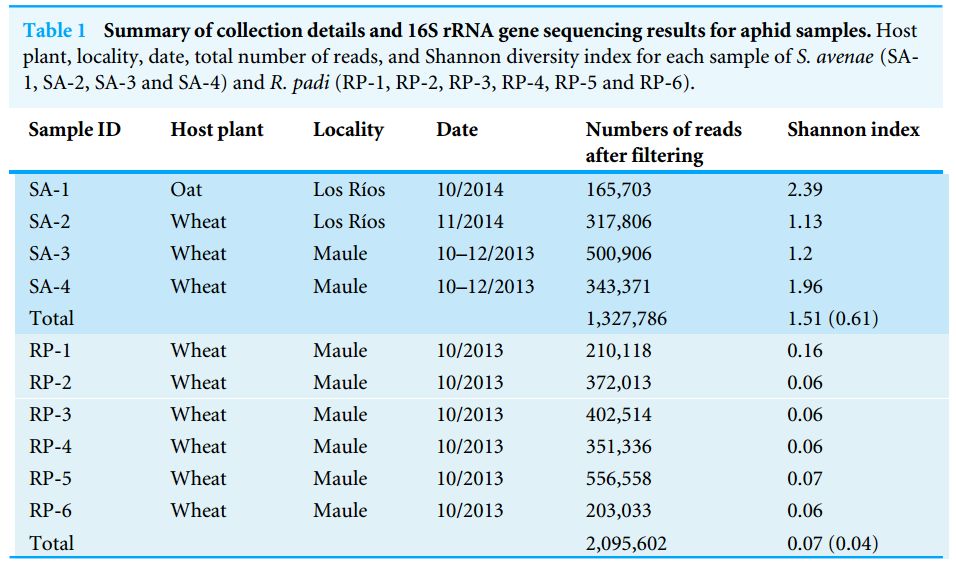 2024新澳正版免费资料的特点,效率资料解释落实_set36.547