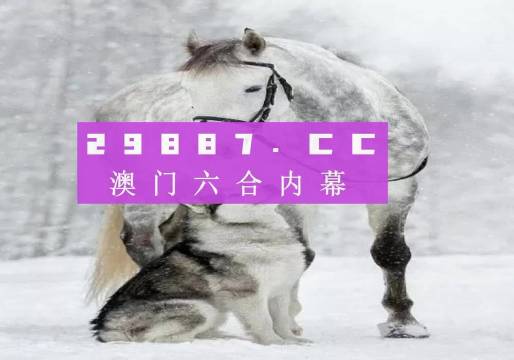 7777788888新版跑狗,稳定性策略解析_精英款49.371