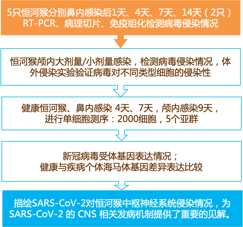 2024新奥正版资料免费,实效性解析解读_FT30.921