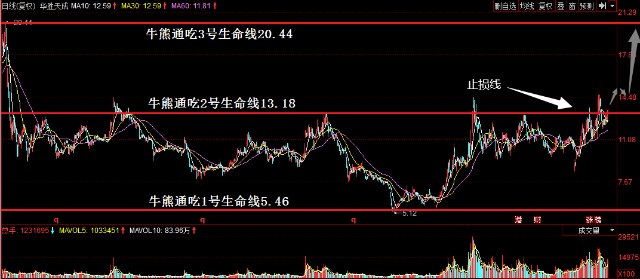 三肖必中三期必出凤凰网昨天,实践经验解释定义_轻量版93.472