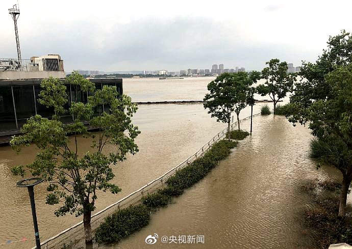 南京水情最新动态，城市水位监测与应对策略