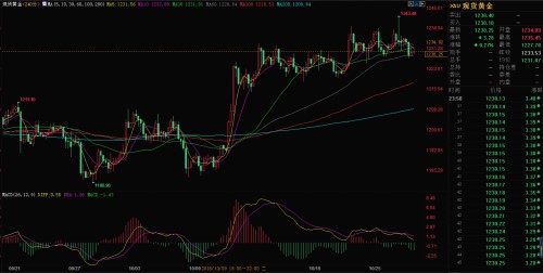 最新外汇行情分析与投资建议