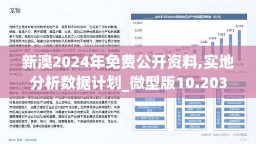 2024新澳正版免费资料,系统分析解释定义_网红版15.545