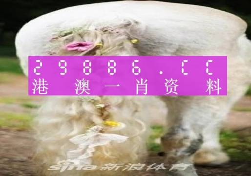 今晚必中一肖一码四不像,数据分析说明_android68.52