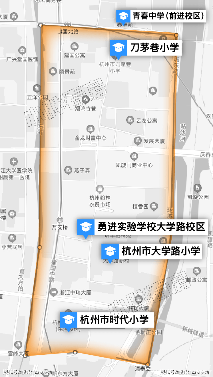 新澳门全年免费料,深度数据解析应用_suite45.858