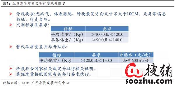 开澳门开结果,重要性方法解析_WP81.56