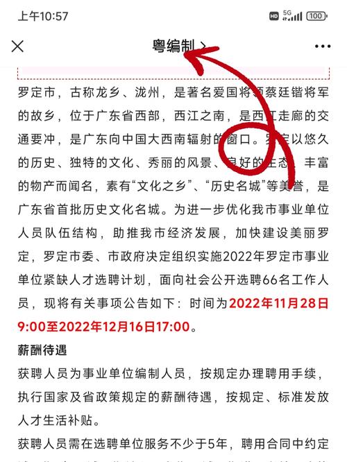 罗源最新招聘网，企业人才桥梁站