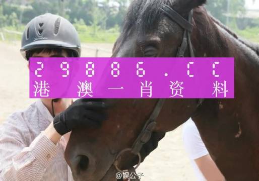 澳门一肖一码一特一中云骑士，综合解答解释落实_gi26.31.38