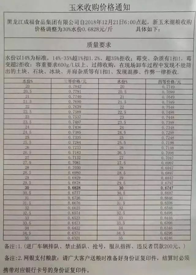 德州玉米价格最新动态分析