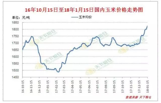 最新玉米行情走势解析