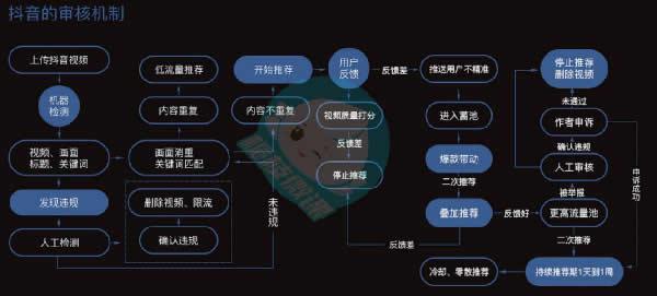 短视频时代的无限魅力探索，最新资源短视频呈现精彩世界