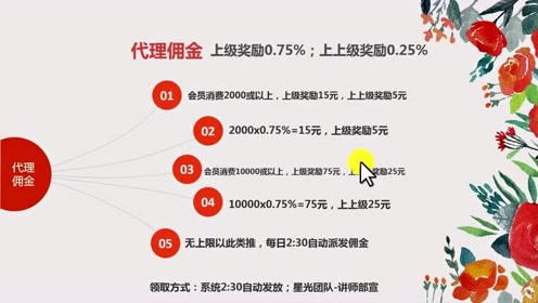 揭秘提升一肖一码100准，时代解答解释落实_fg688.82.60