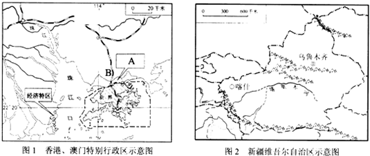 新澳门一肖一特一中，实时解答解释落实_qo74.81.00