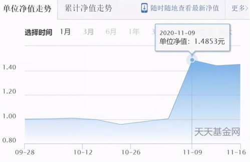 最新净值计算详解及实际应用指南