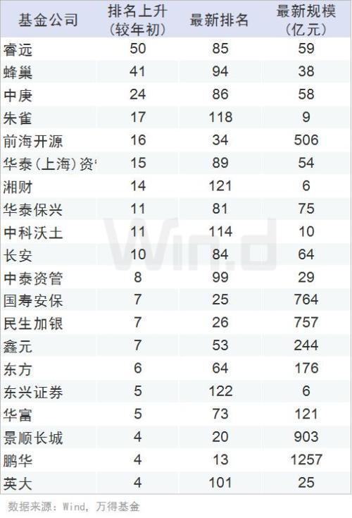 基金公司排名与表现分析最新报告